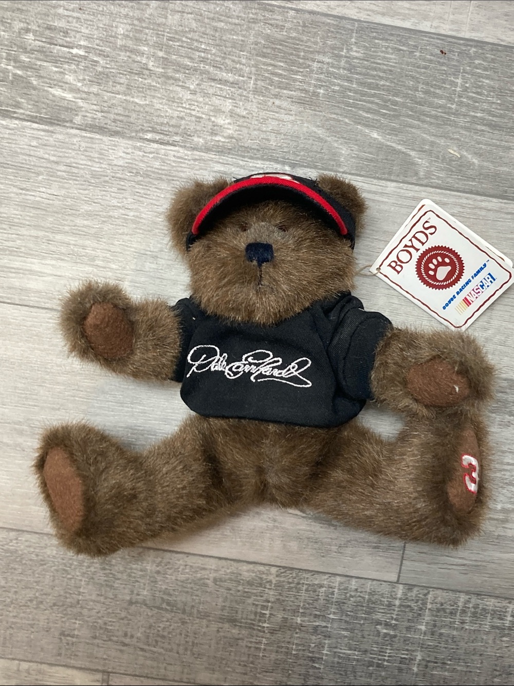 Plush Brown Bear with Black Shirt and Red-Trim Visor. Dale Earnhardt